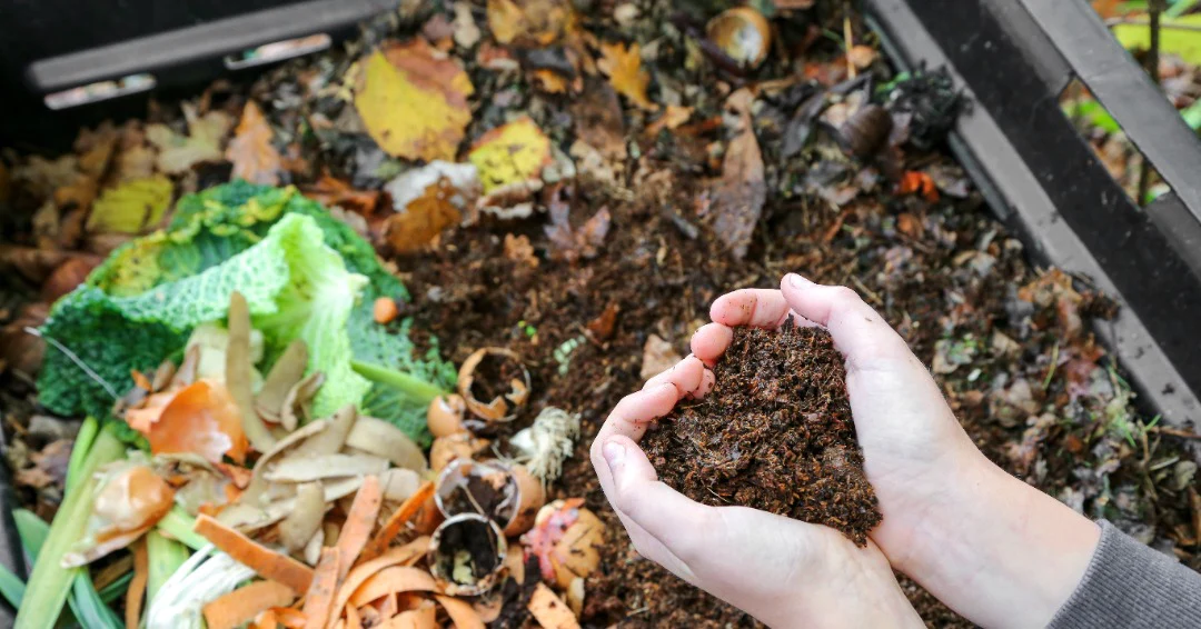 Organic Compost