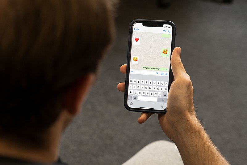 Why WhatsApp Calls are Showing on Your Phone Log 5