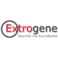 Extrogene Software: Innovating Digital Strategies