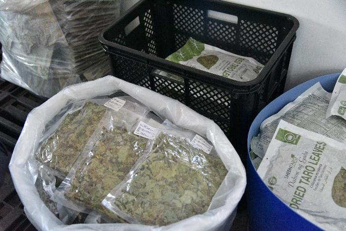 Bags of marijuana in plastic bags

Description automatically generated