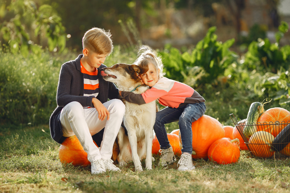 Dog with children and pumpkin