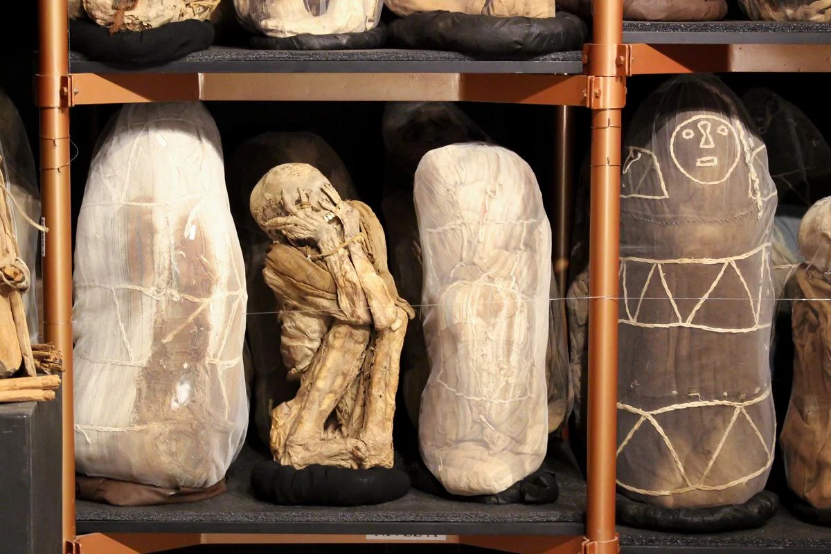 Whispers from the Past: Unveiling the Secrets of Leymebamba’s Silent Mummies