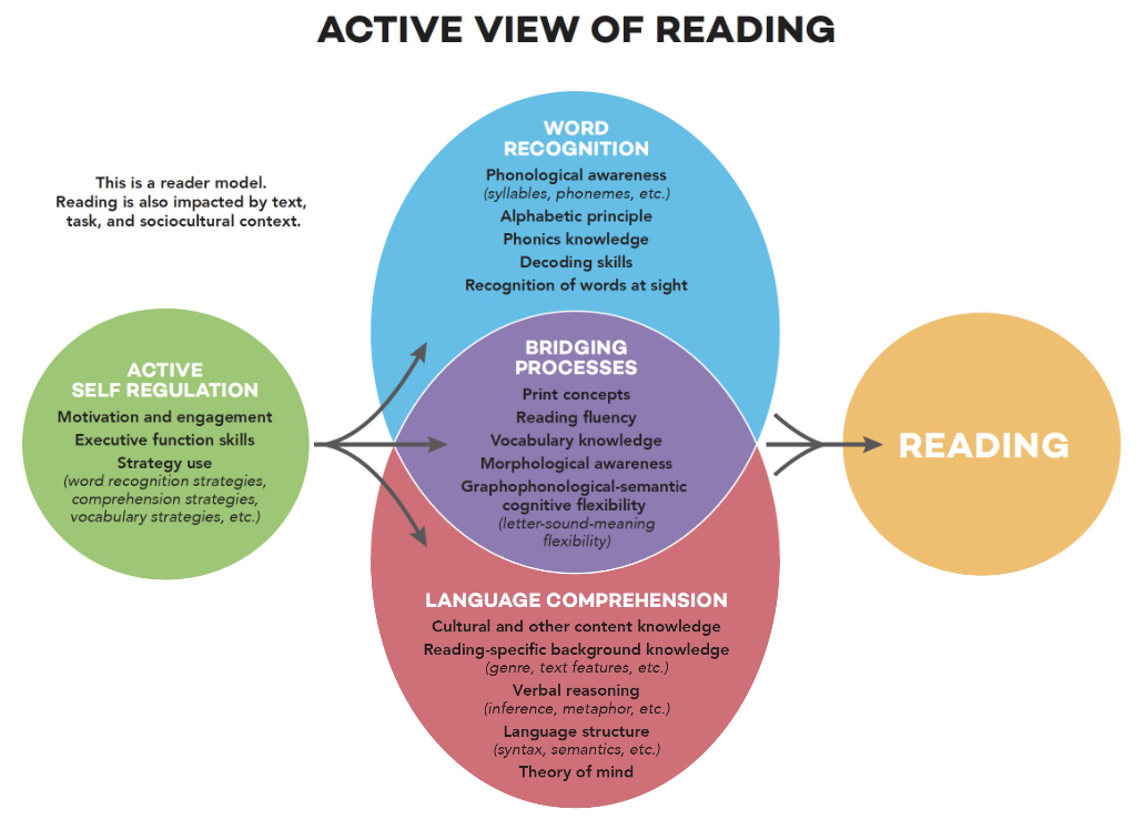active reading graphic
