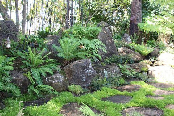 Rock Garden- Ferns Landscape 