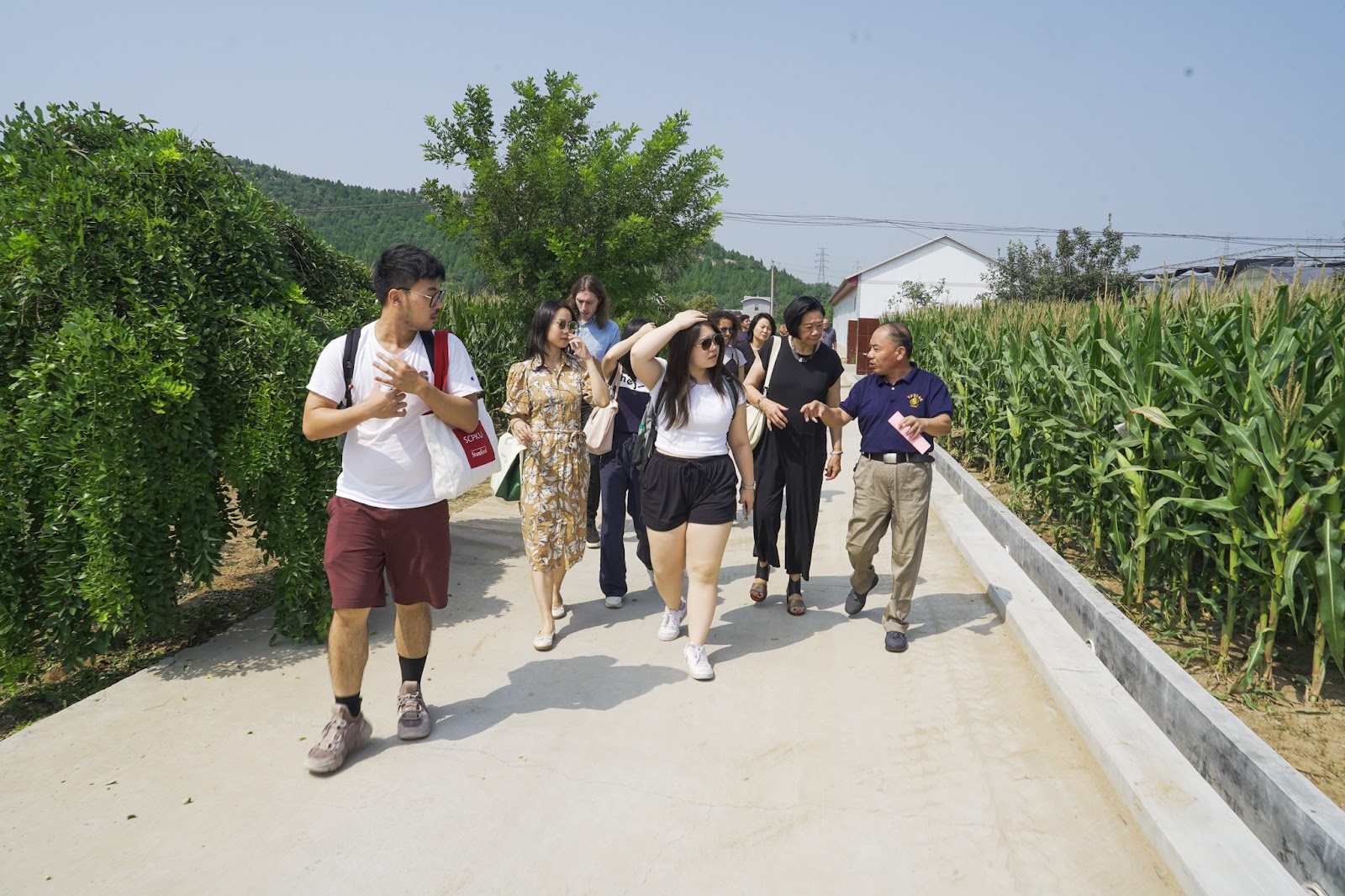 students and faculty walk along a path during a Field visit in Zouping county