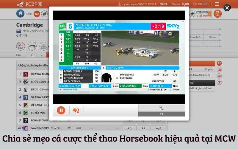 Chia sẻ mẹo cá cược thể thao Horsebook hiệu quả tại MCW