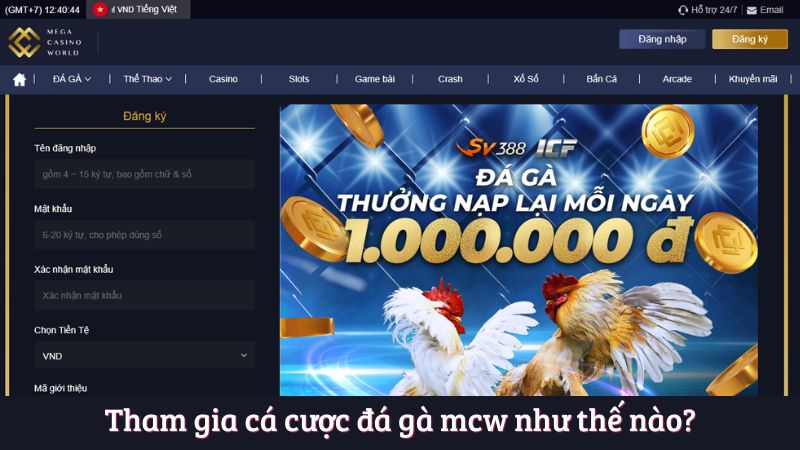 Tham gia cá cược đá gà mcw như thế nào?