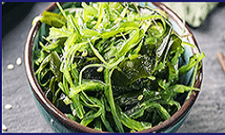 Ikaria Lean Belly Juice Ingredients Fucoxanthin