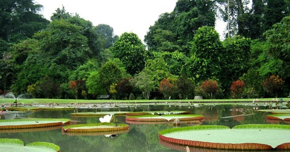 10 Rekomendasi Wisata Edukasi Anak Terbaik di Bogor