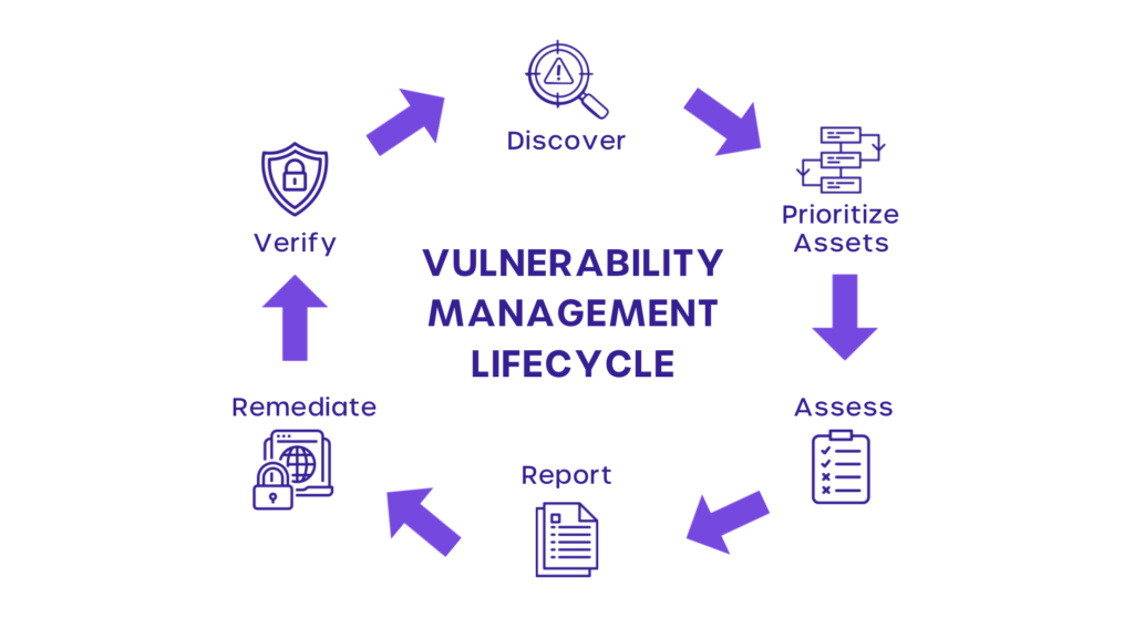 Vulnerability Management Systems