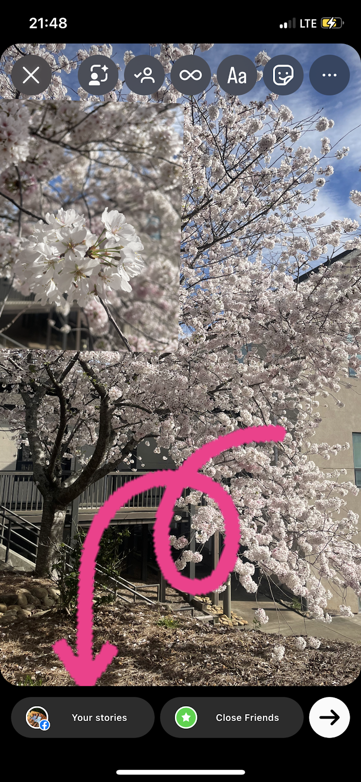 Screenshot of a photo of a cherry tree in bloom getting ready to be uploaded to Instagram Stories, as indicated by a red arrow