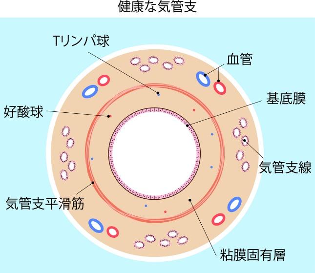 グラフ, ダイアグラム, レーダー チャート

自動的に生成された説明