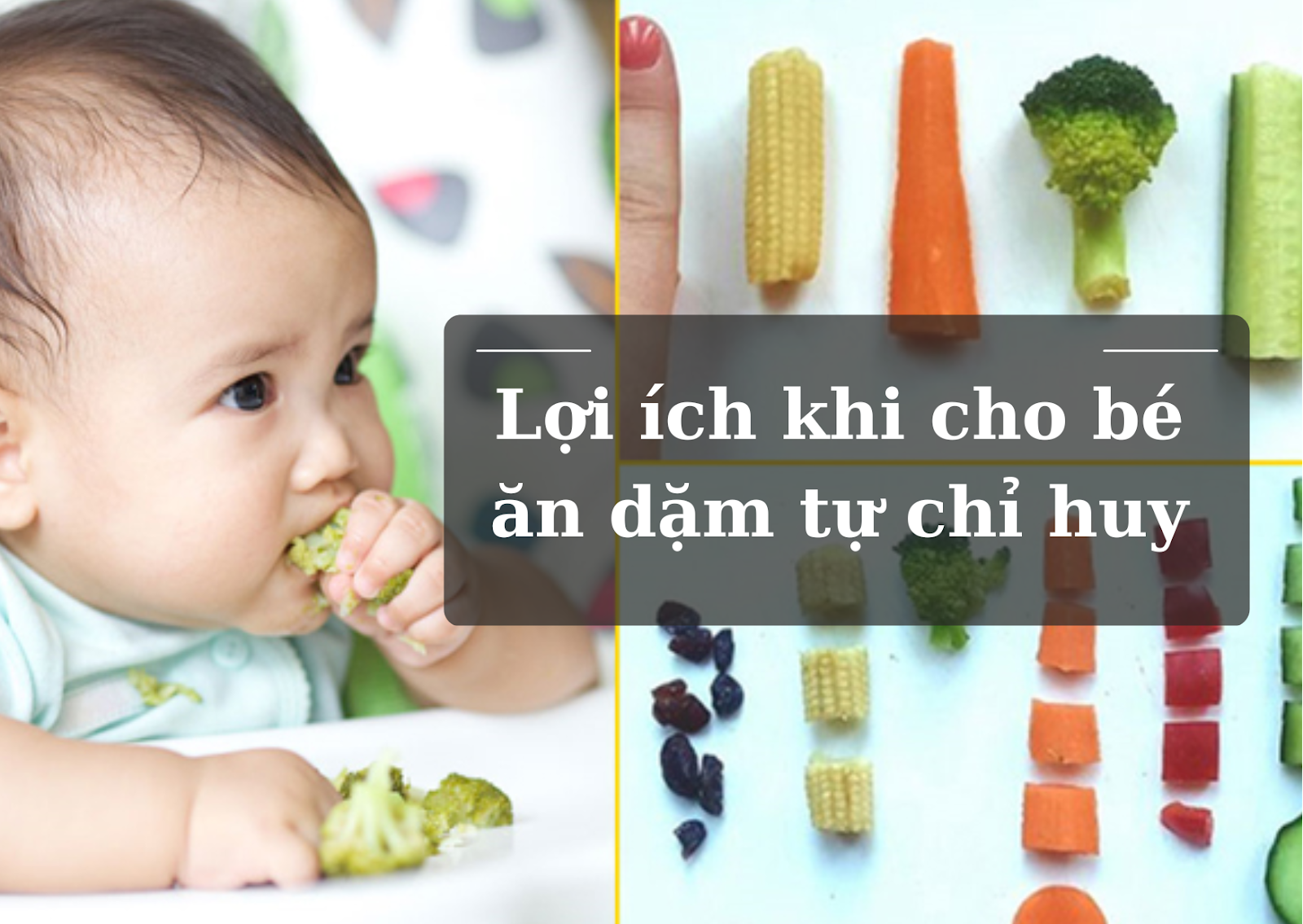 Lợi ích khi cho bé ăn dặm tự chỉ huy