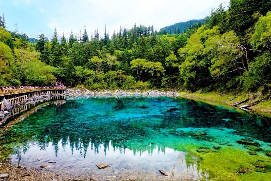 A blue lake surrounded by trees with Jiuzhaigou in the background

Description automatically generated