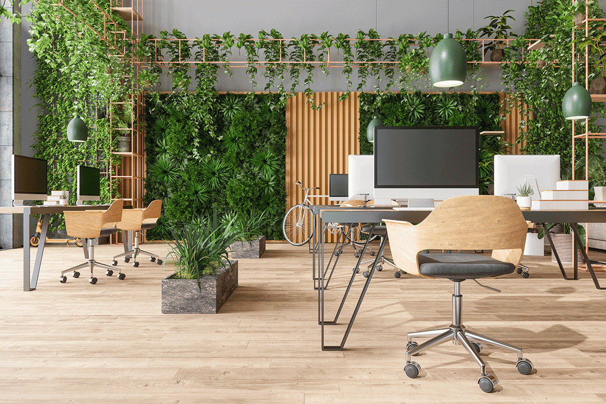 A Guide to Your Eco Office Fit Out | Gravity Office Interiors