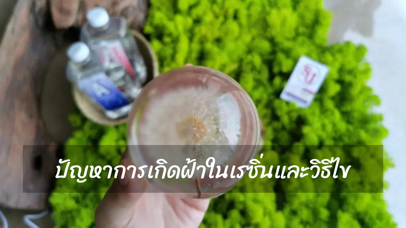 รูปภาพ