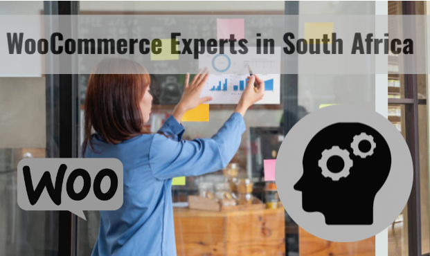 WooCommerce Experts in South Africa