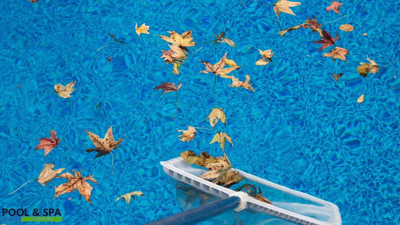 Get a Pool Ready After Winter