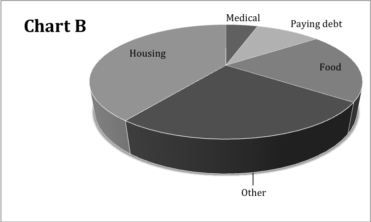 Circle graph showing Chart B: The typical household budget broken into categories, indicating the largest to smallest portions: - Housing - Other - Food - Paying debt - Medical