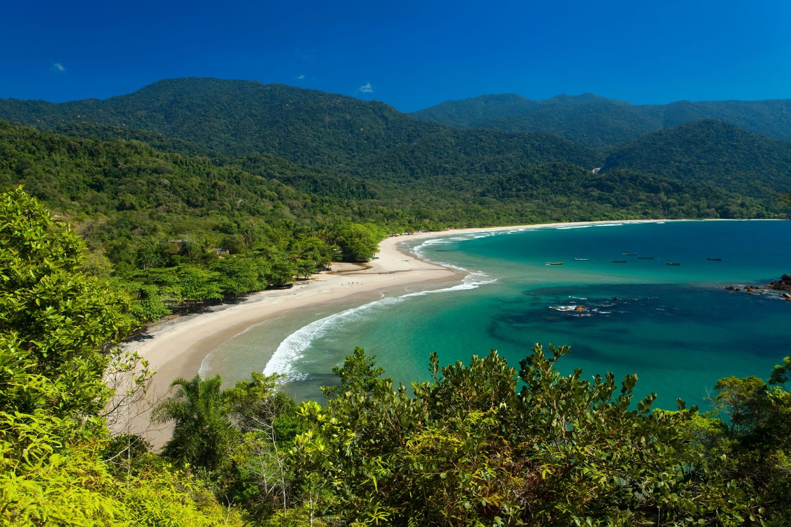 Praia de Castelhanos, em Ilhabela, vista de cima. A faixa de areia branca é estreita e limitada por um mar de coloração azul intensa. Depois da orla, aparece uma mata densa que se estende pelos montes verdes.
