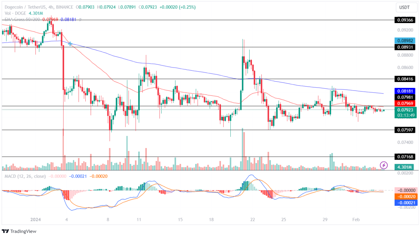 Dogecoin Price Analysis