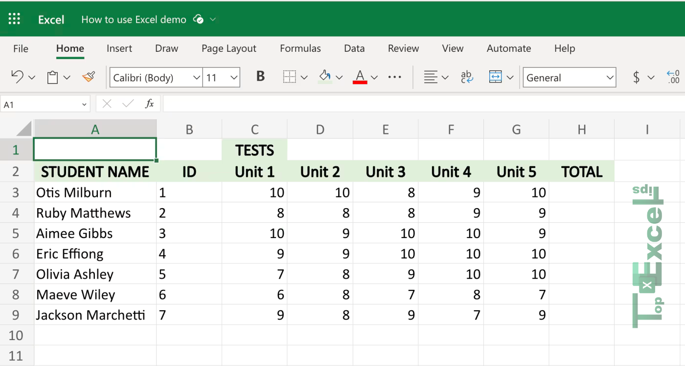 this image shows the How To Format Text & Data In Excel