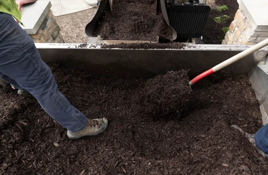 Turn or fluff the mulch