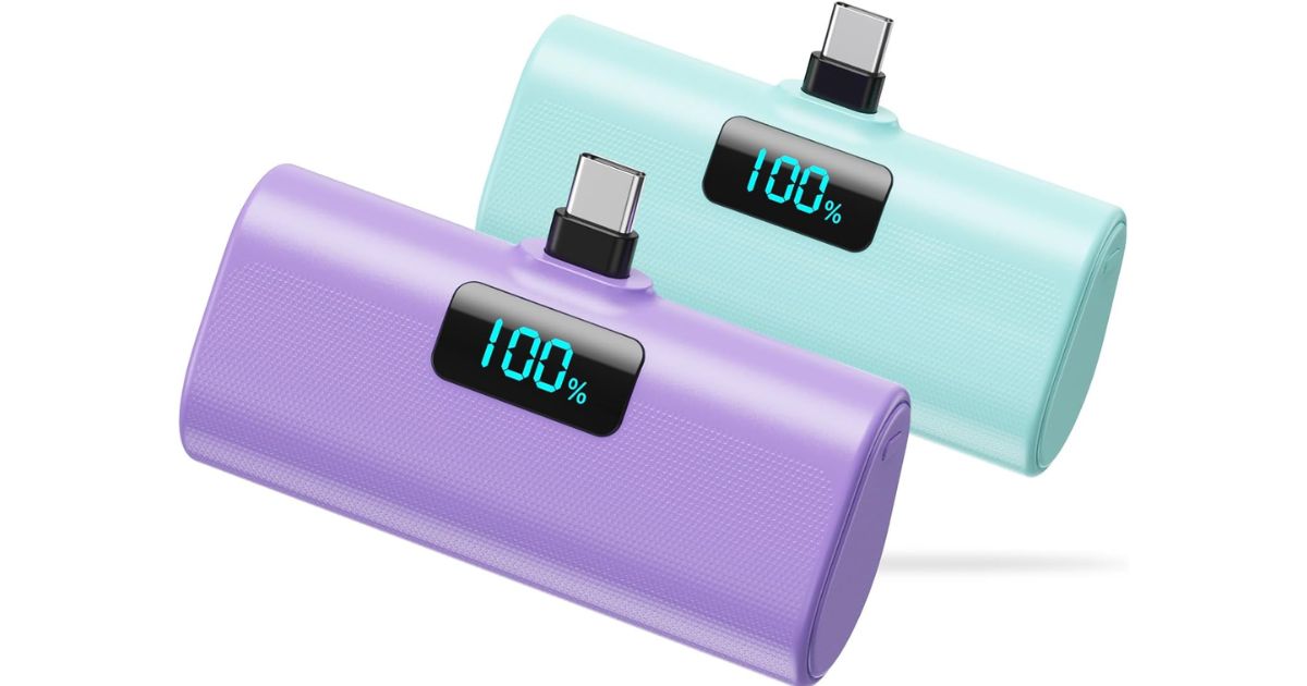 Small Portable Charger (2-Pack)