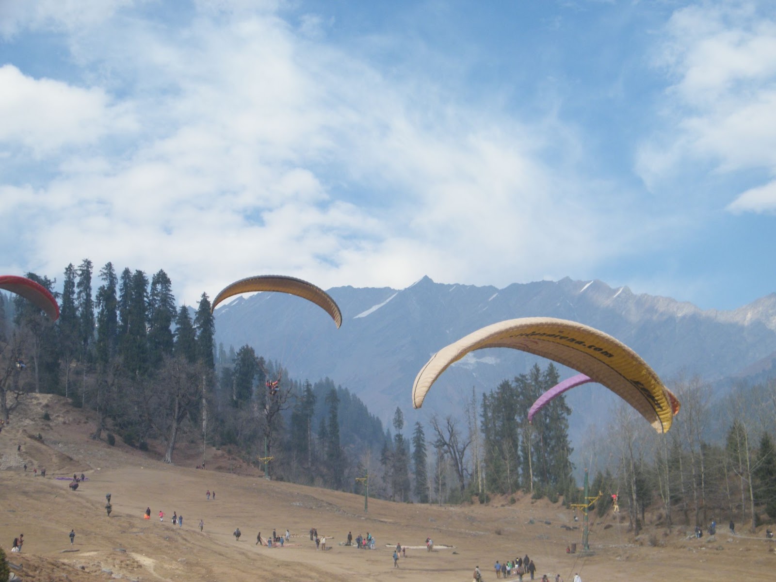 Paragliding
Best activities to do in India