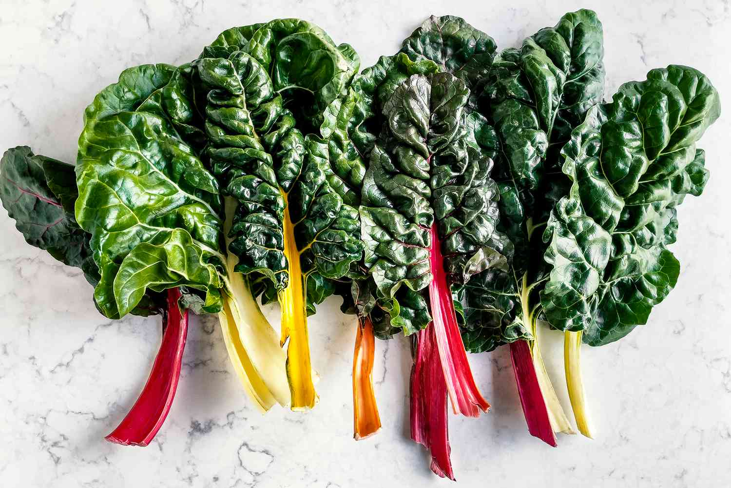 Swiss Chard (Beta vulgaris var. cicla)