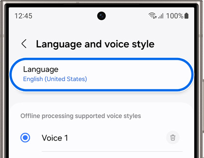 Language and voice style settings screen displaying English selected as the main language