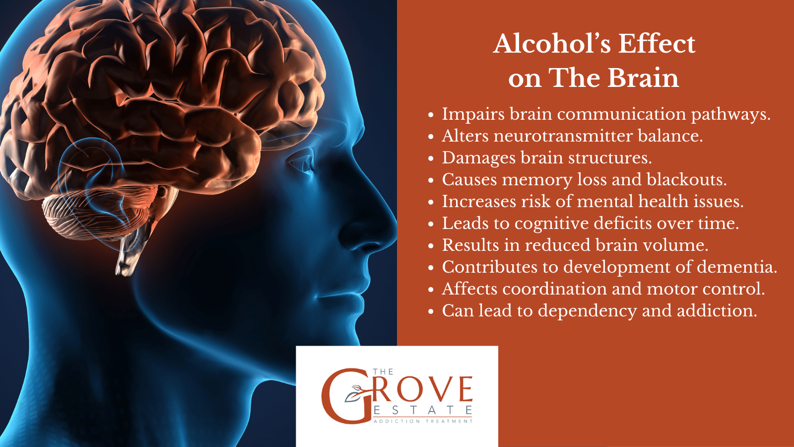 Alcohol's Effect on the Brain