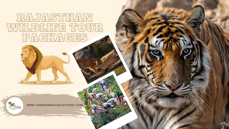 Rajasthan Wildlife Tour Packages
