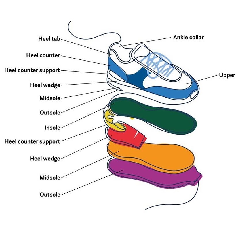Components of shoe