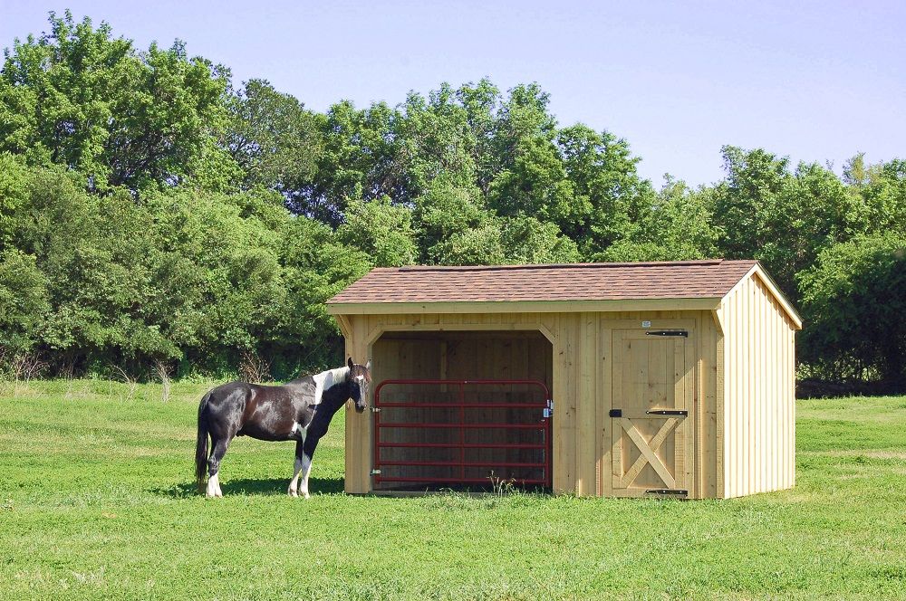 Shelters For Miniature Horses