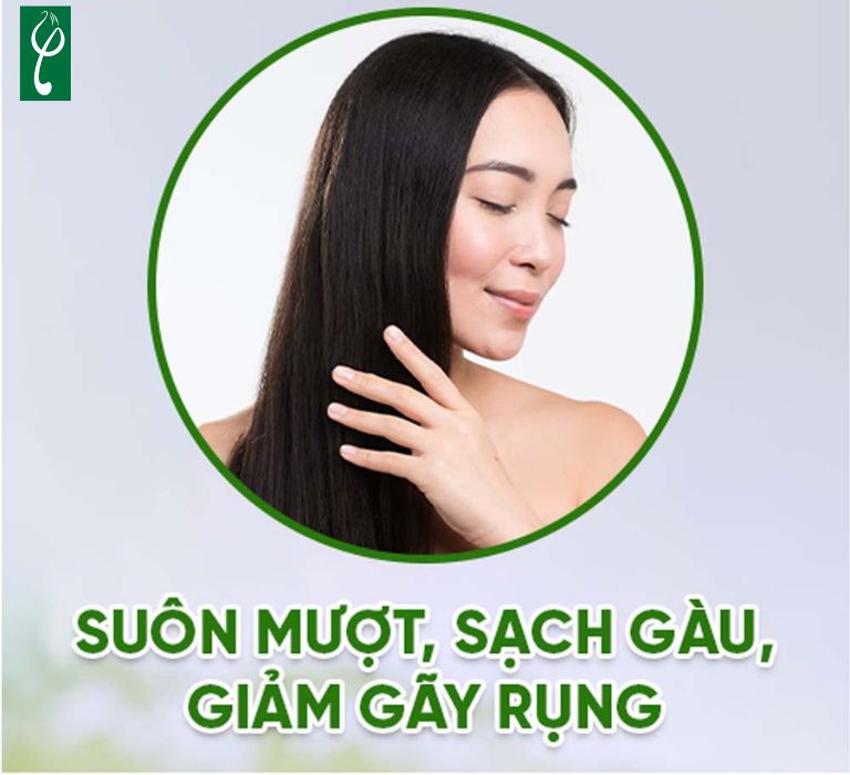 Sản xuất dầu gội đầu trị gàu giúp doanh nghiệp sở hữu sản phẩm chất lượng cao