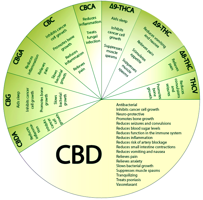 cannabinoides Carta.jpg