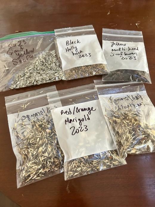 Bags of different types of seeds

Description automatically generated