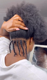 Mini Twists on Natural Hair: A No-Frills, No-Twist Guide For 2024