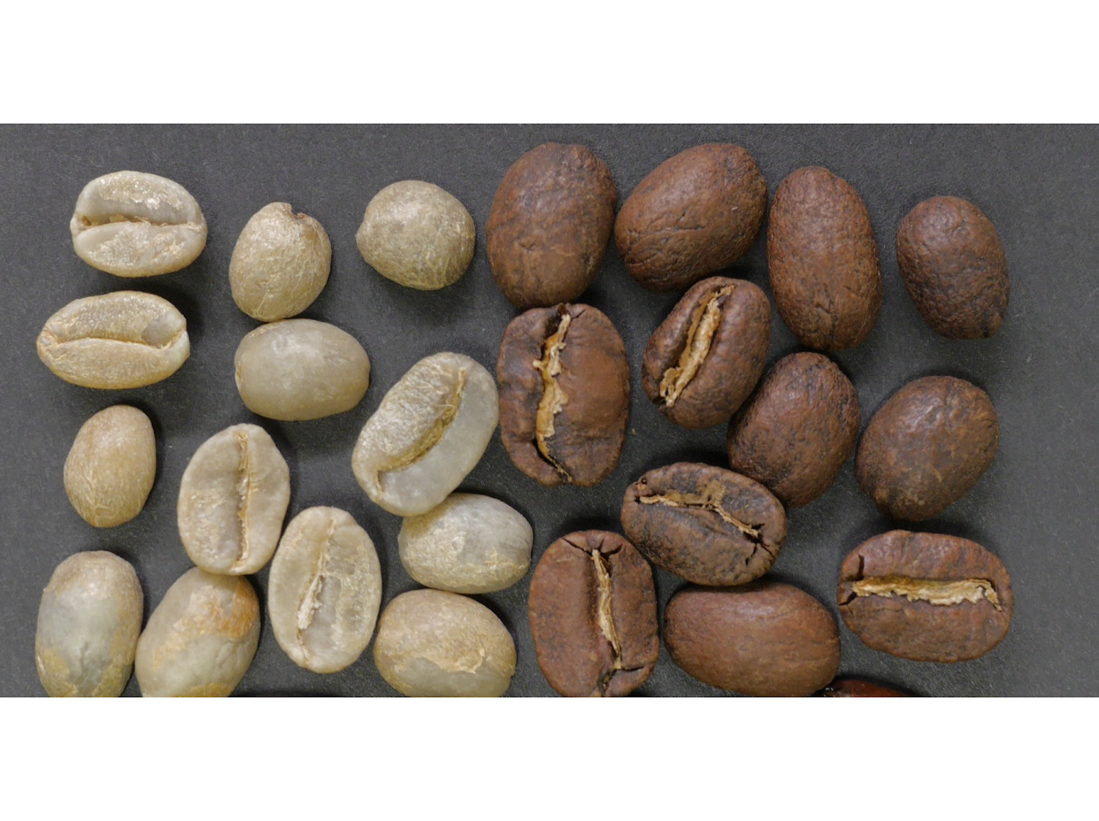 comparison between lightly roasted white coffee beans and dark roasted coffee beans on a dark background