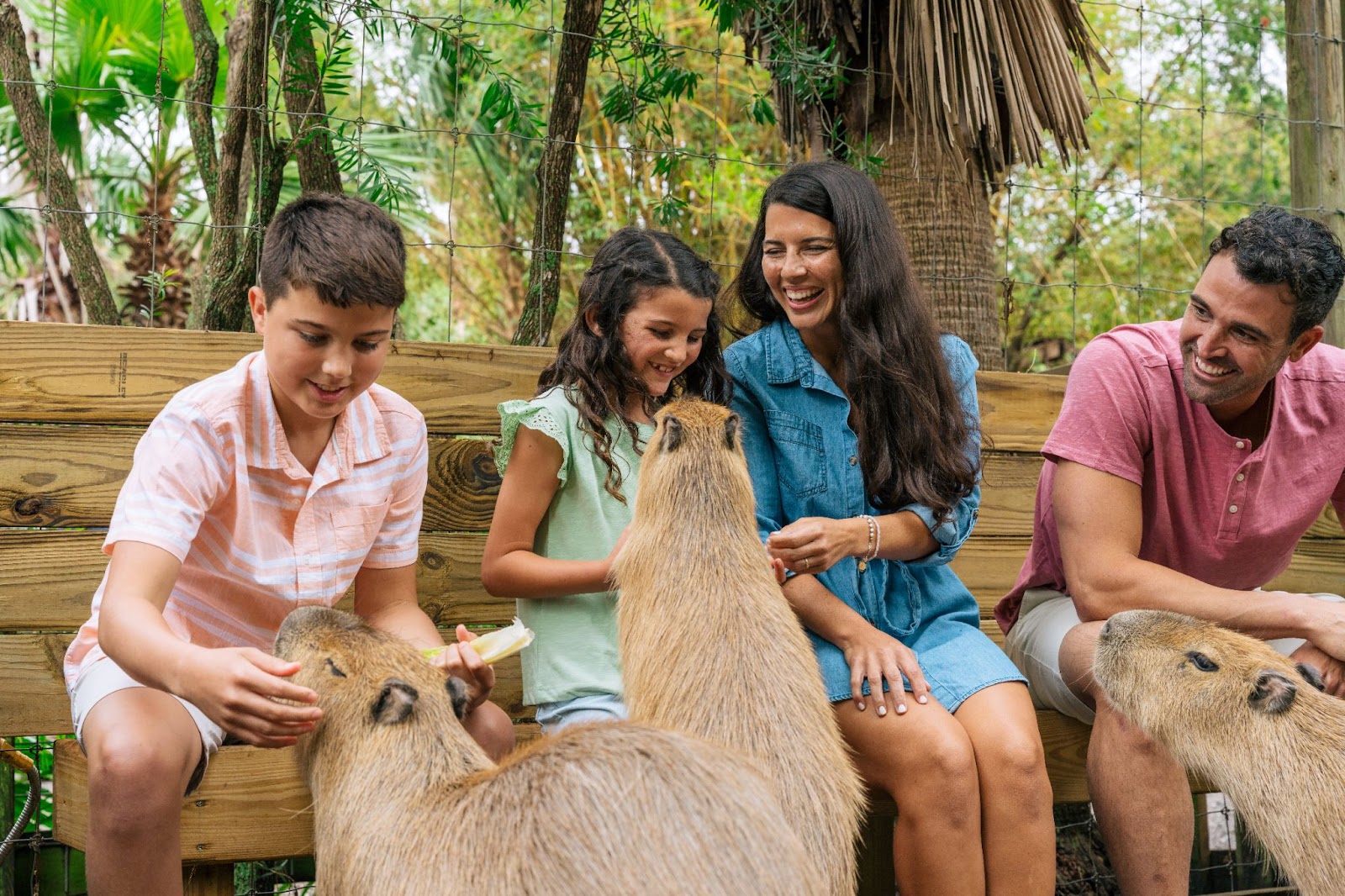 A family feeds capybara's at Wild Florida's Gator Park