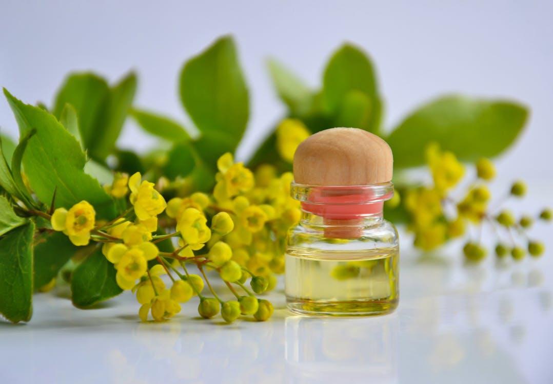 Free Yellow Flowers Beside a Clear Glass Bottle with Essential Oil Stock Photo