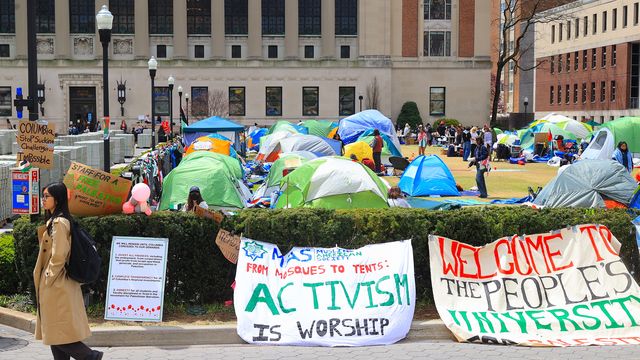 Pro-Palestinian college protesters want divestment from Israel