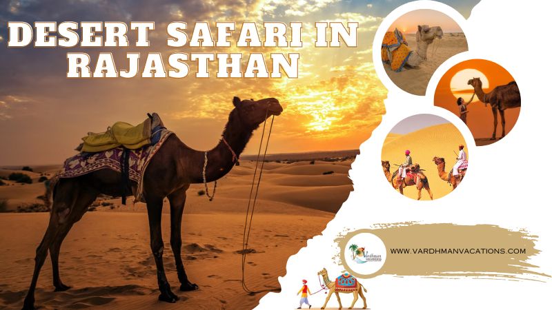 Desert Safari in Rajasthan