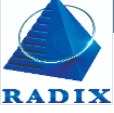  Radixweb