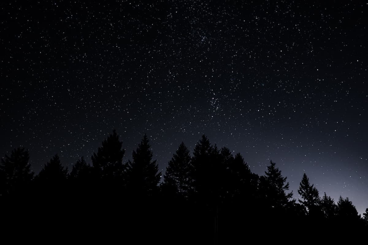Dark sky at light full on stars with the silhouette of trees on the Oregon Coast