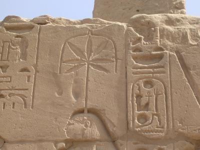 Ancient egyptian hieroglyphics carved on a stone wall

Description automatically generated