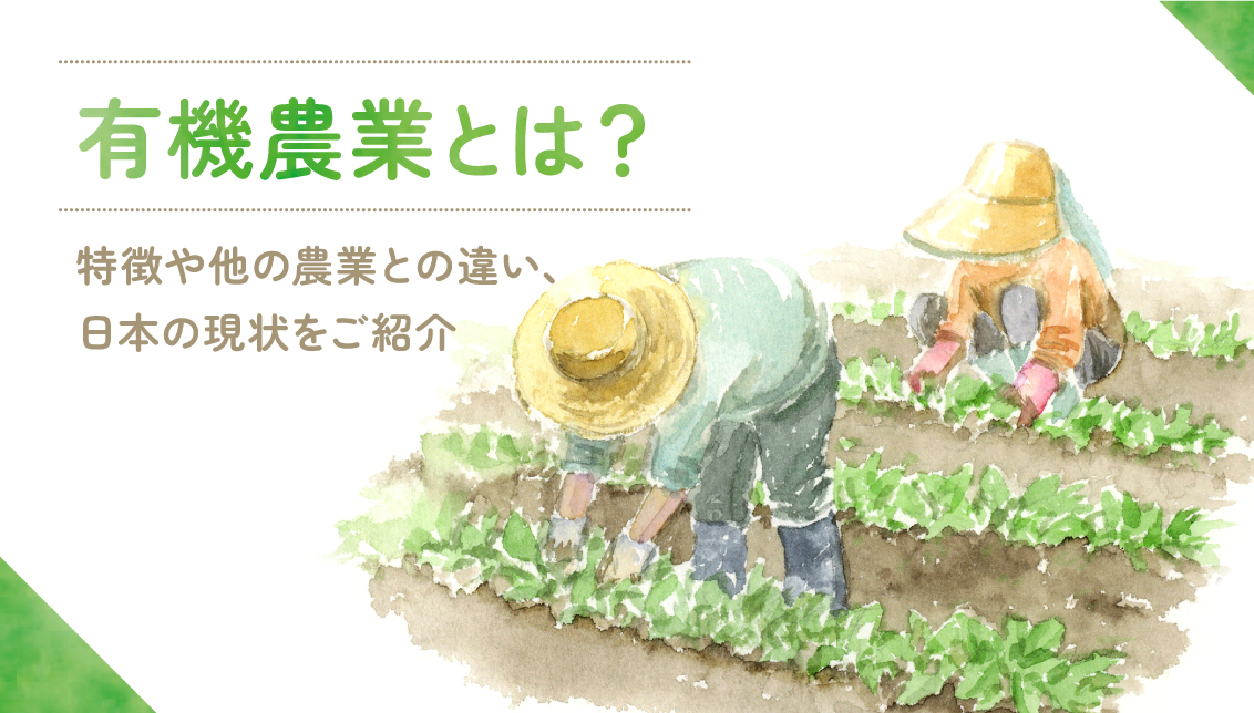 有機農業とは？｜有機農業の特徴や他の農業との違い、日本の有機農業の現状をご紹介します。