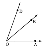 NCERT Solutions for Class 6 Maths Chapter 4 Basic Geometrical Ideas 