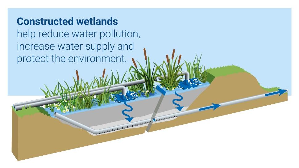 Constructed Wetlands